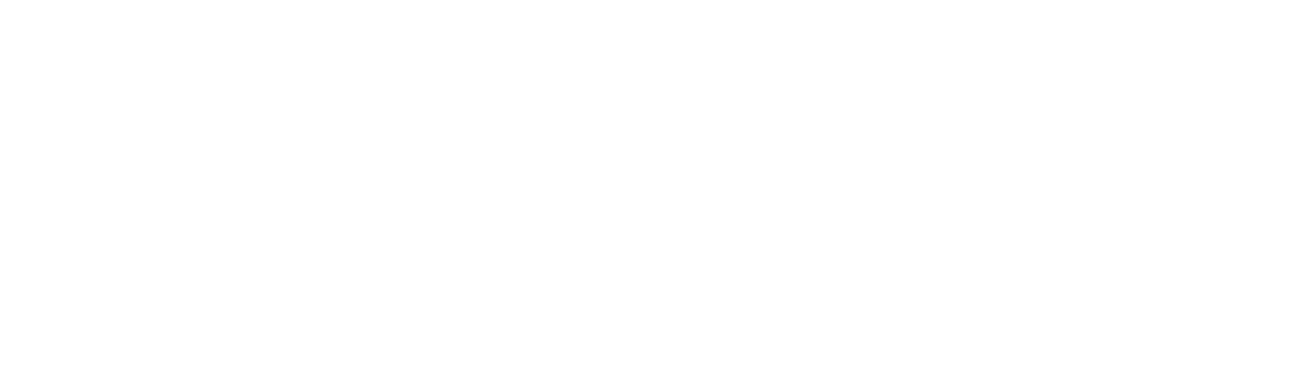 logo fichtelgebirge weiss